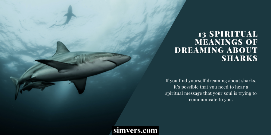 13 spiritual meanings of dreaming about sharks