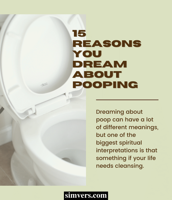 15 reasons you dream about pooping