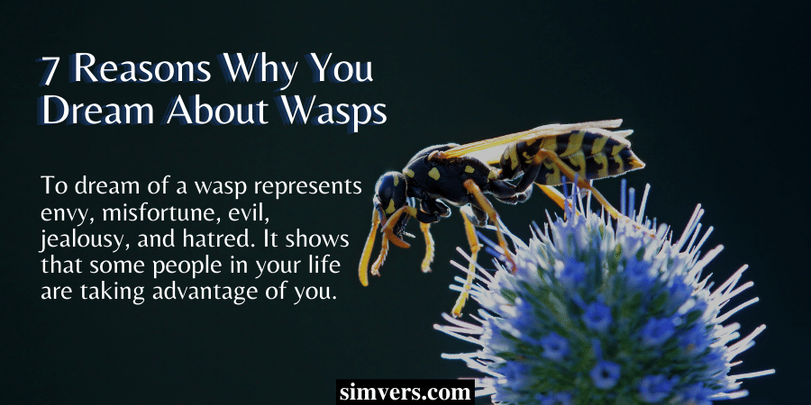 7 Reasons Why You Dream About Wasps