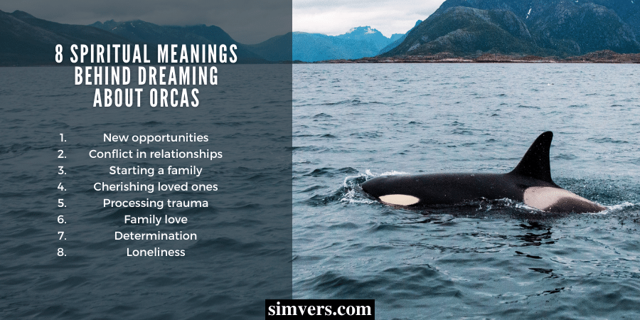 8 spiritual meanings behind dreaming about orcas