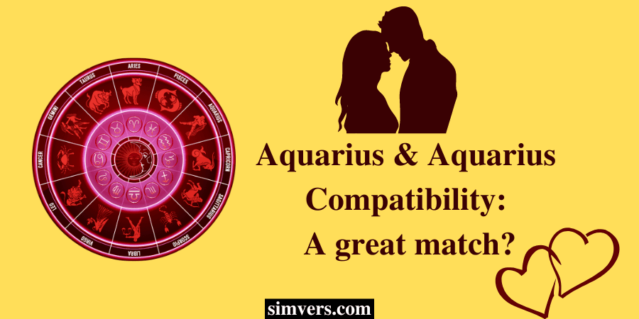 Aquarius & Aquarius Compatibility