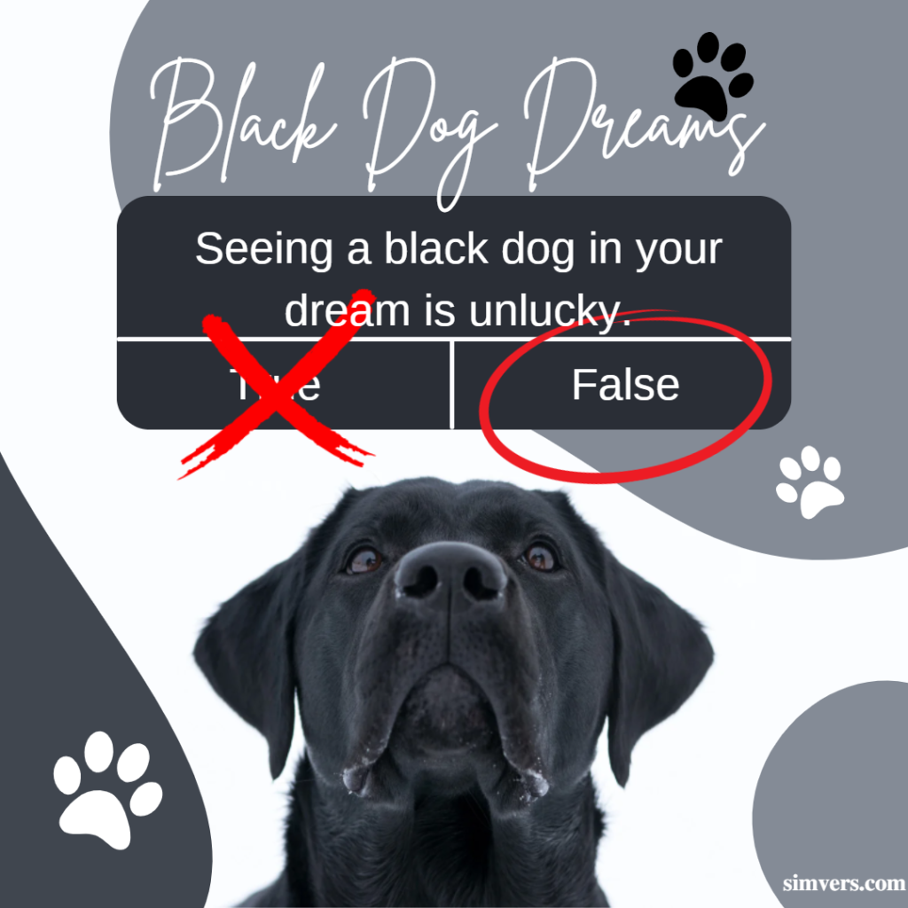 Seeing black dogs in your dreams isn't unlucky, but it means you're going through a rough patch.