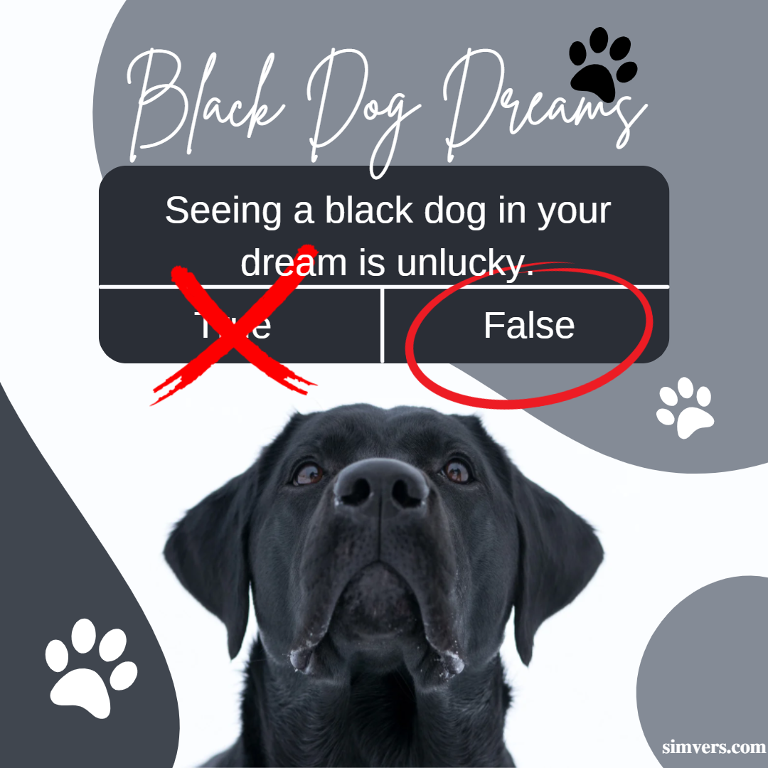 Black Dog Dream Meaning: Symbolism & Spiritual Interpretation