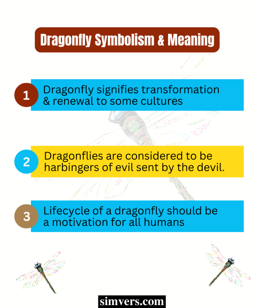 Dragonfly symbolism and meaning