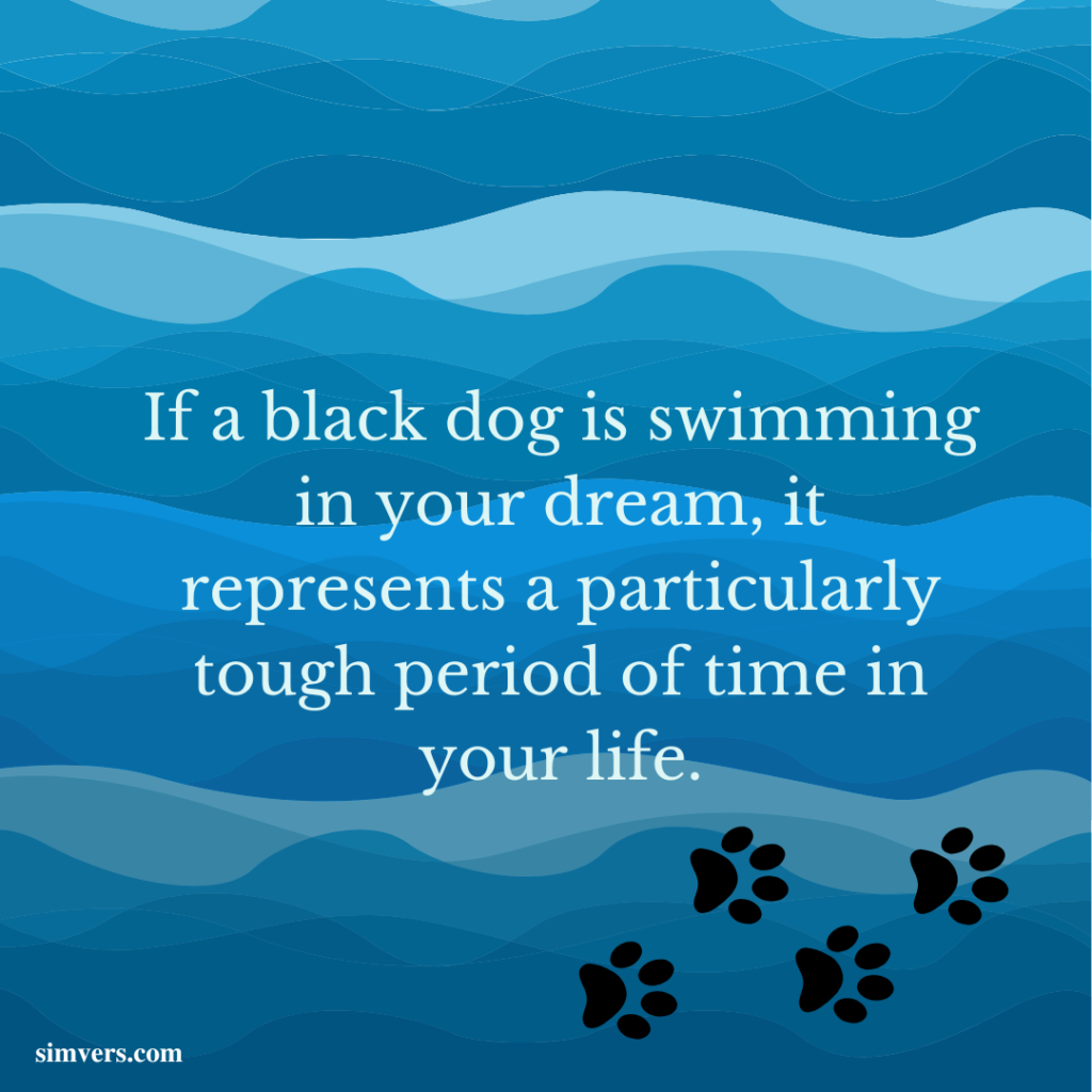 If a black dog is swimming in your dream, it represents a particularly tough period of time in your life.