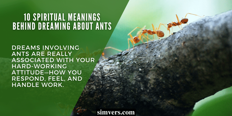 10 spiritual meanings behind dreaming about ants