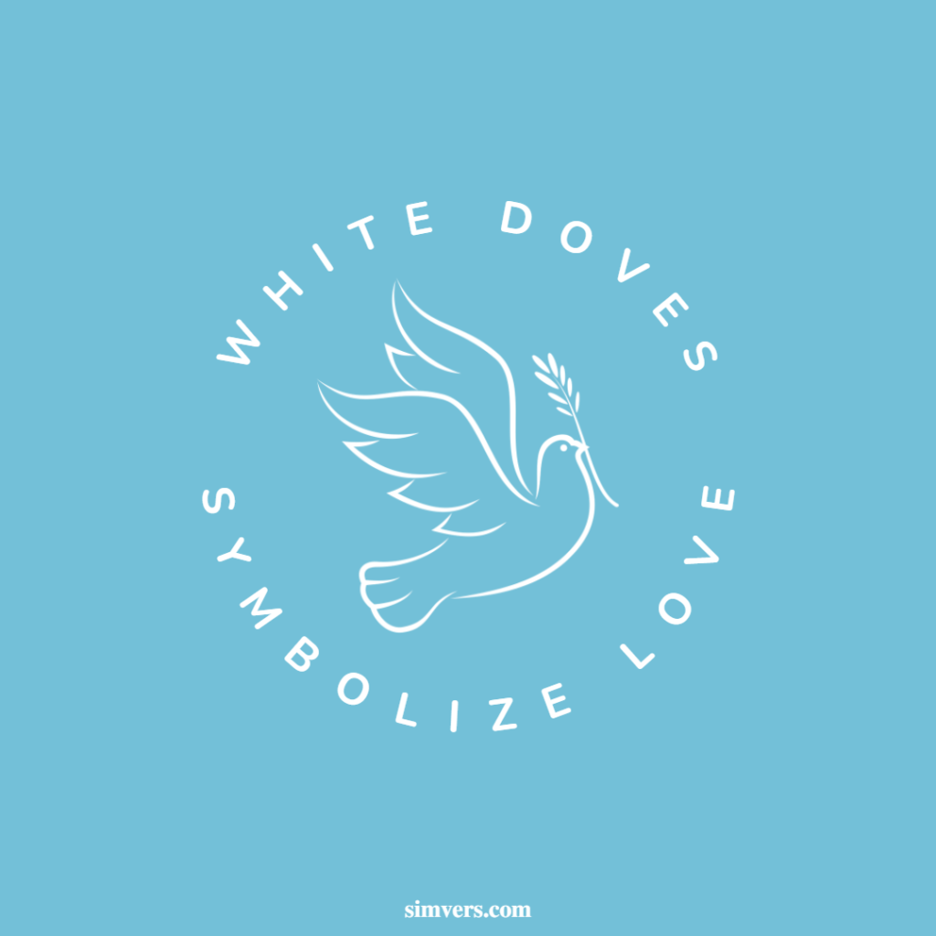 White doves are a symbol of love.
