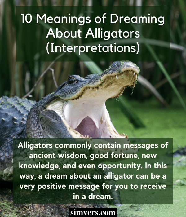 10 Meanings of Dreaming About Alligators (Interpretations)