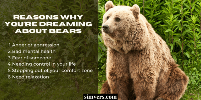 11-spiritual-meanings-of-dreaming-about-bears-interpretation