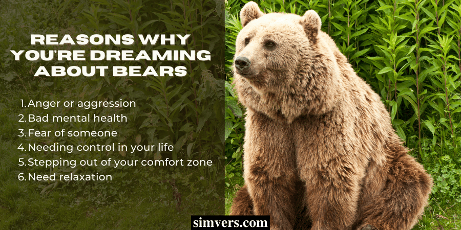 Reasons why you're dreaming about bears