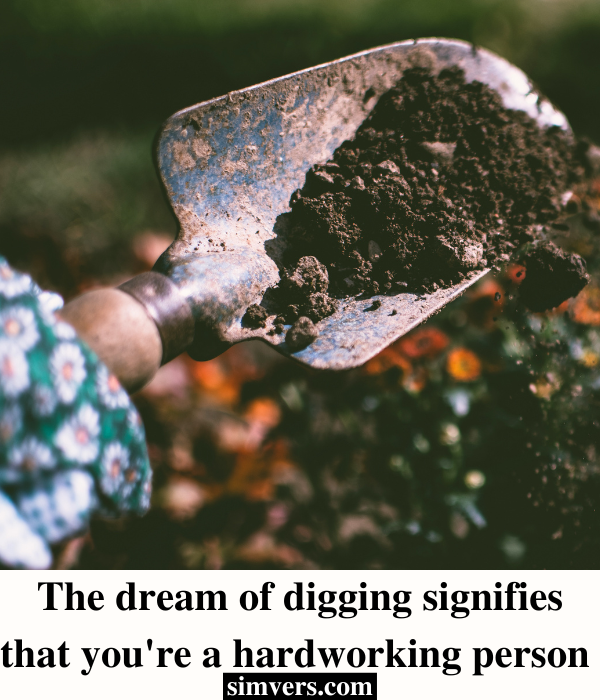 Dream of Digging
