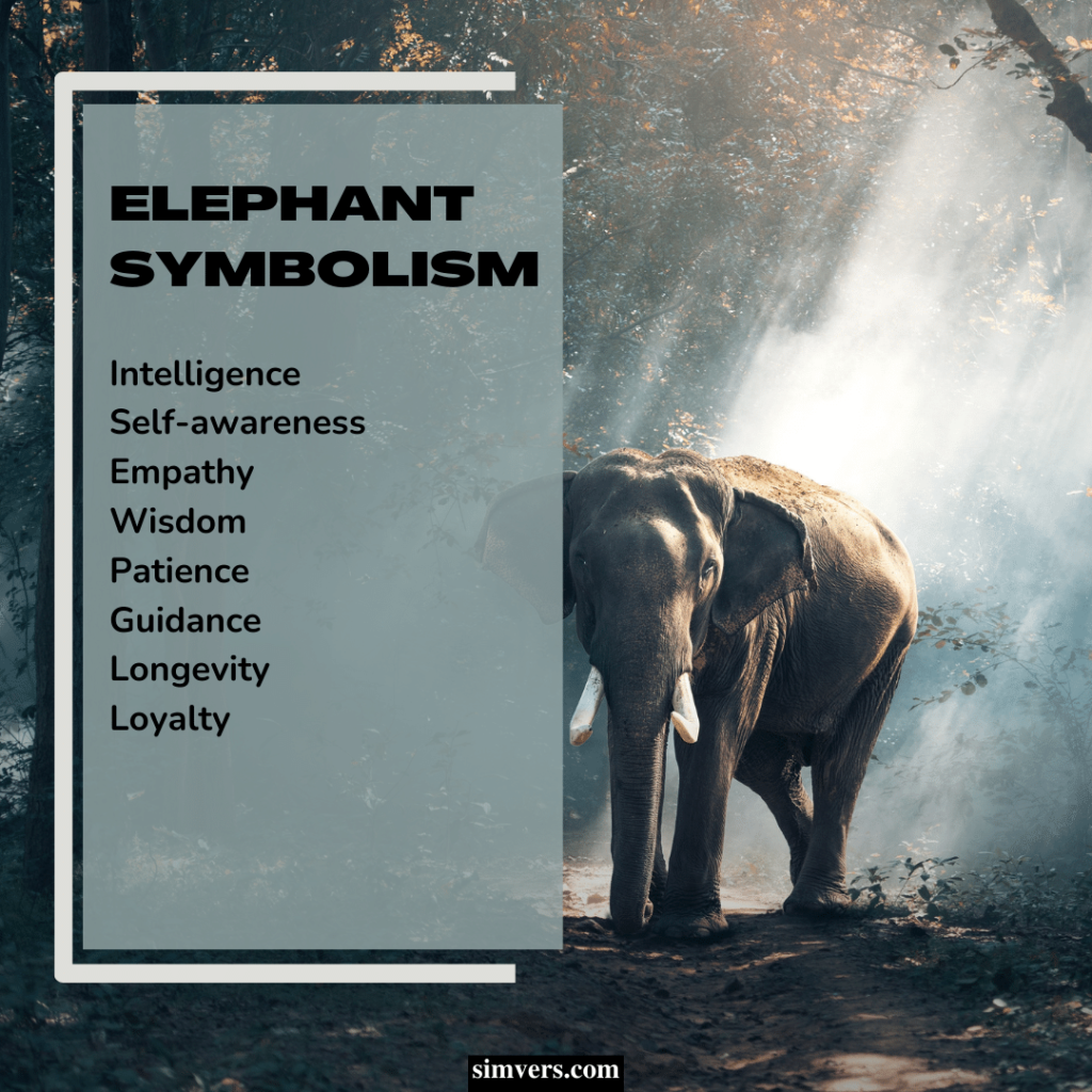Elephant symbolism includes intelligence, self-awareness, and empathy.