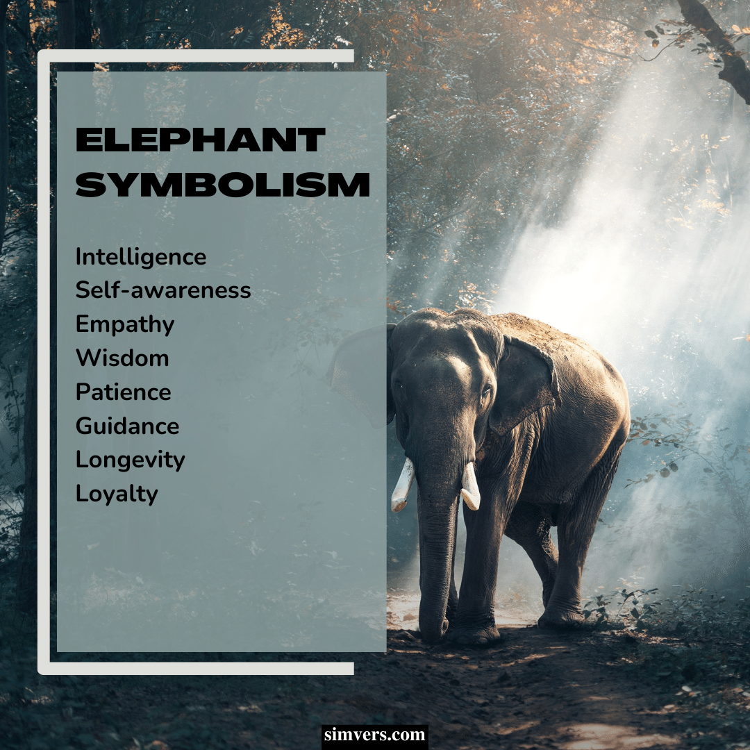 Elephant Symbolism: Culture, Dreams, Omens (Full Guide)