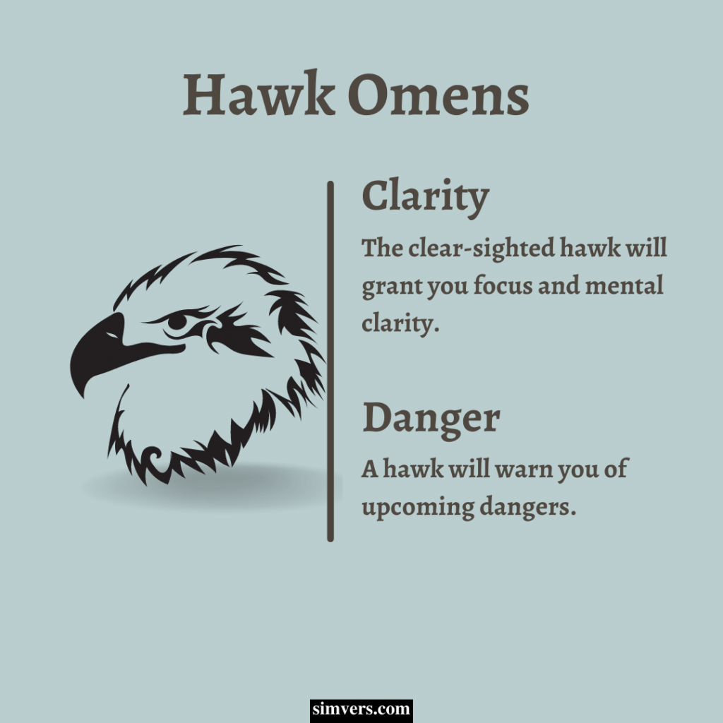 Hawk omens may be a sign clarity or danger is headed your way.