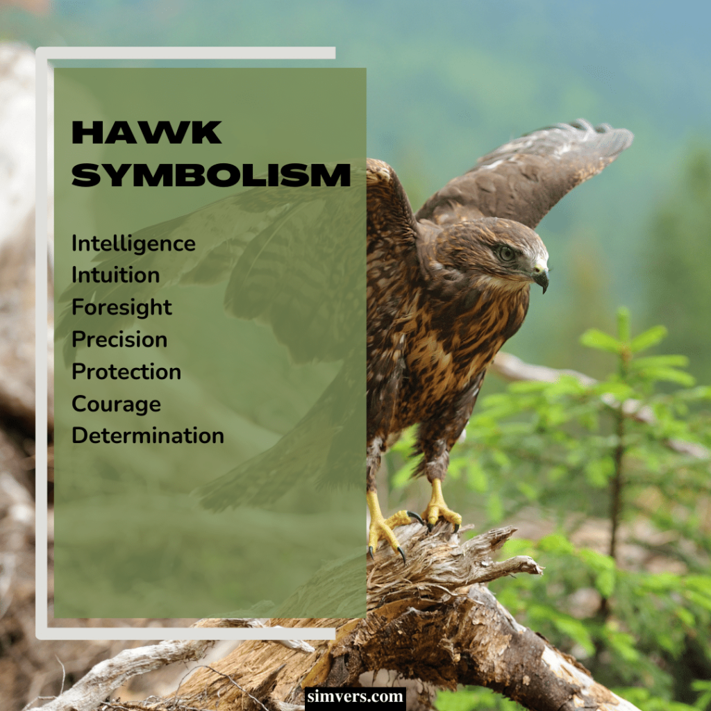 Hawks symbolize intelligence, intuition, and foresight.