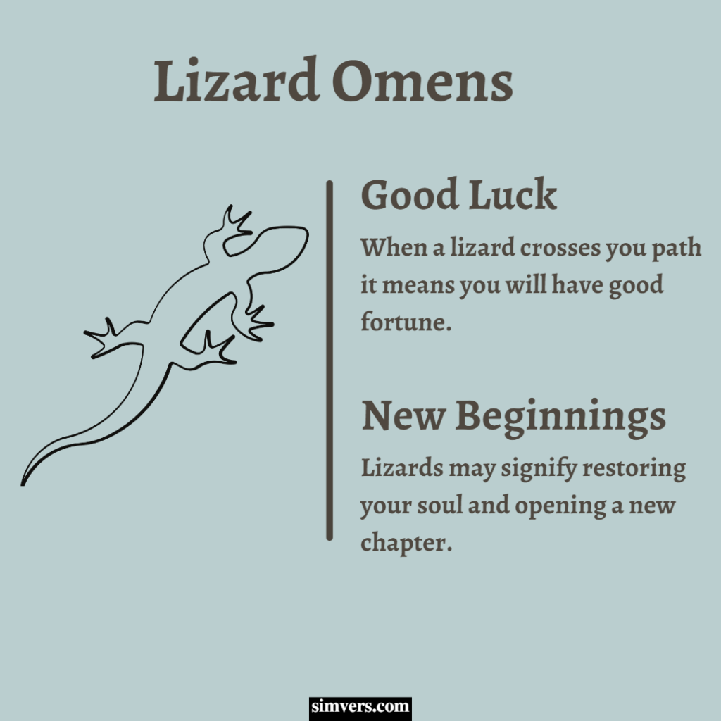 Lizard omens can mean good luck or new beginnings.