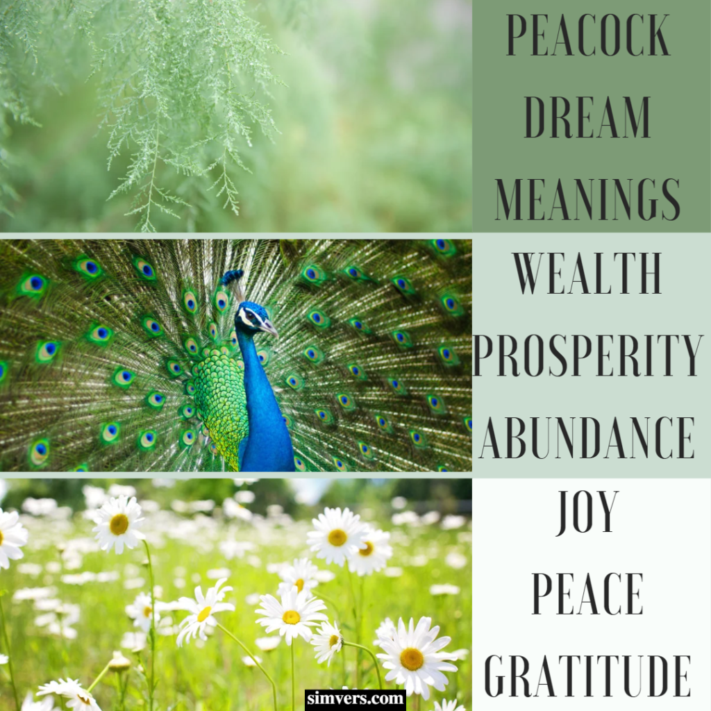 Peacock dreams symbolize wealth, prosperity, abundance, and joy.