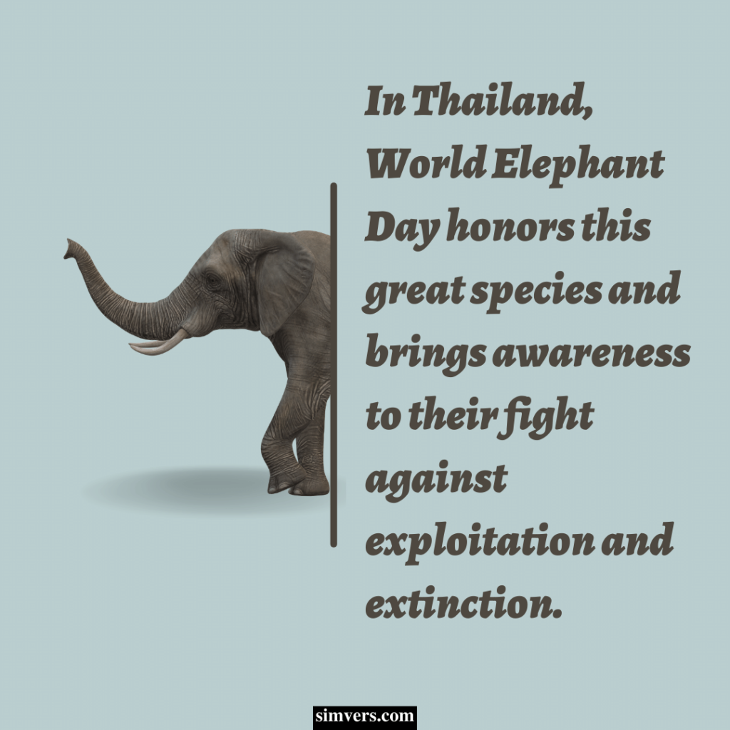 Thailand has a holiday to celebrate elephants in March, National Elephant Day.