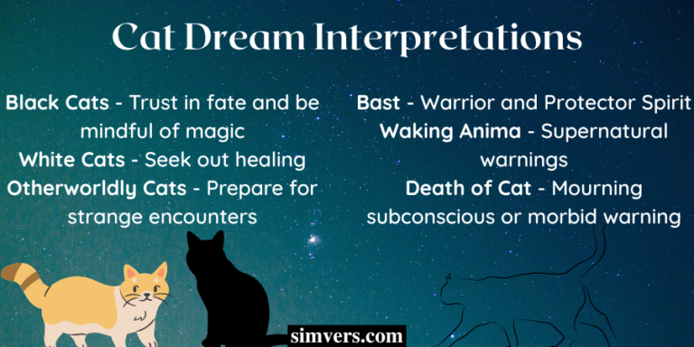 cats-dreams-meaning-symbolism-a-full-interpretation-guide