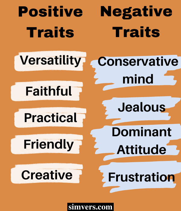 positive and negative traits
