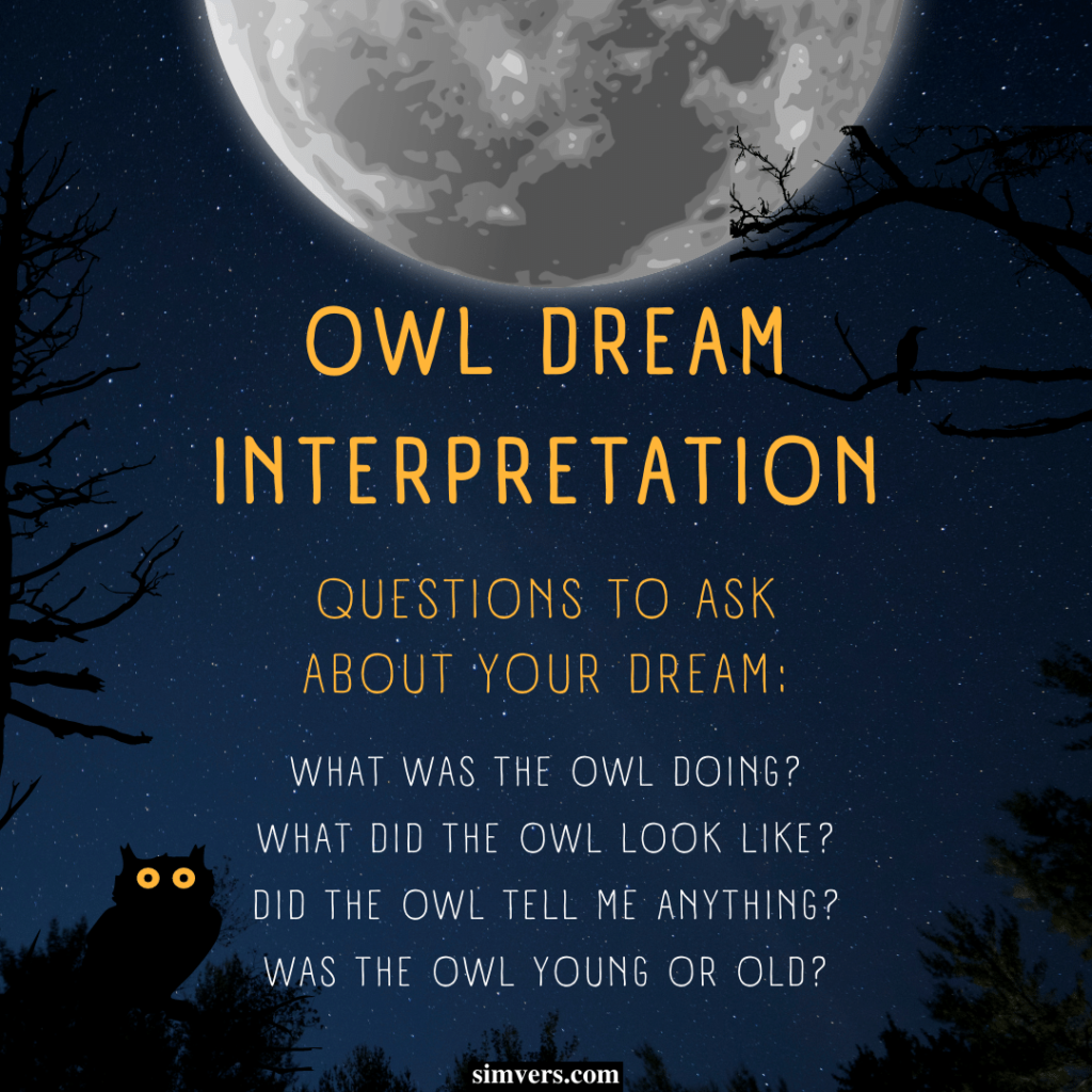 Ask yourself a few key questions to determine the meaning of your owl dream.