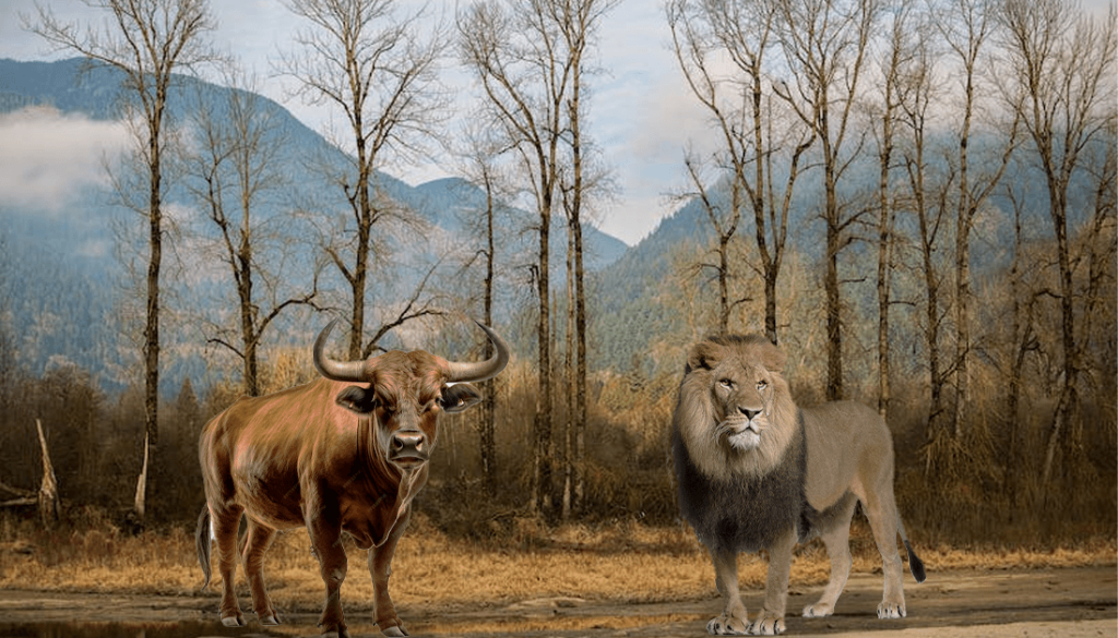 Leo and Taurus Compatibility (Everything You Need to Know)