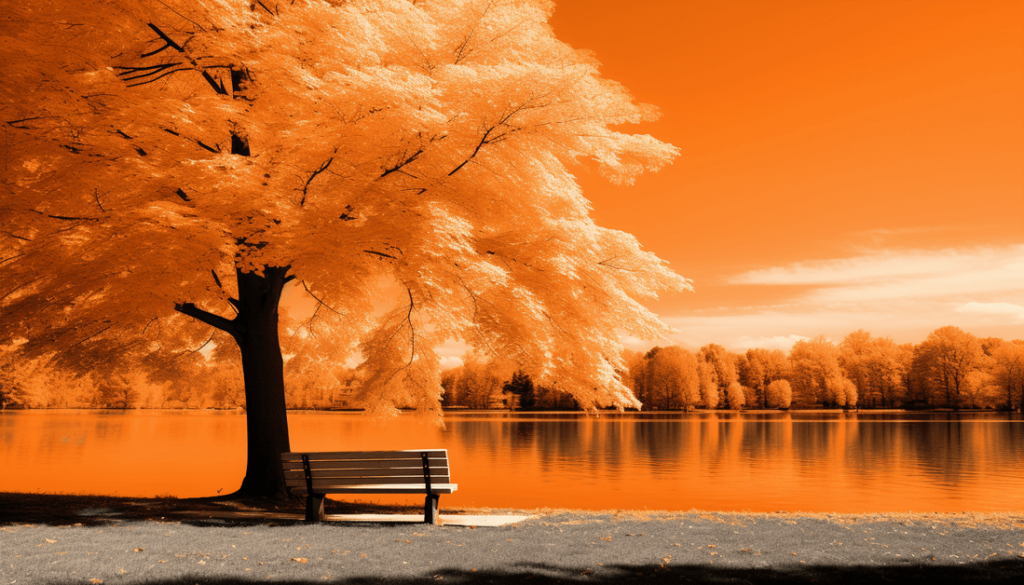 Orange Color: Physical, Psychological, & Spiritual Meaning (Guide)